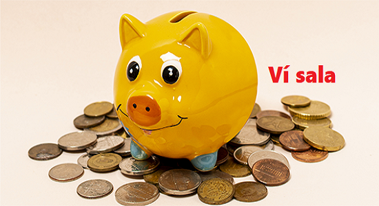 Dịch vụ online của Visala